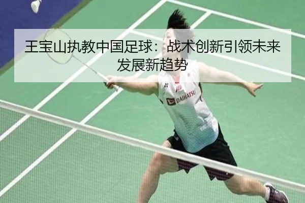 王宝山执教中国足球：战术创新引领未来发展新趋势